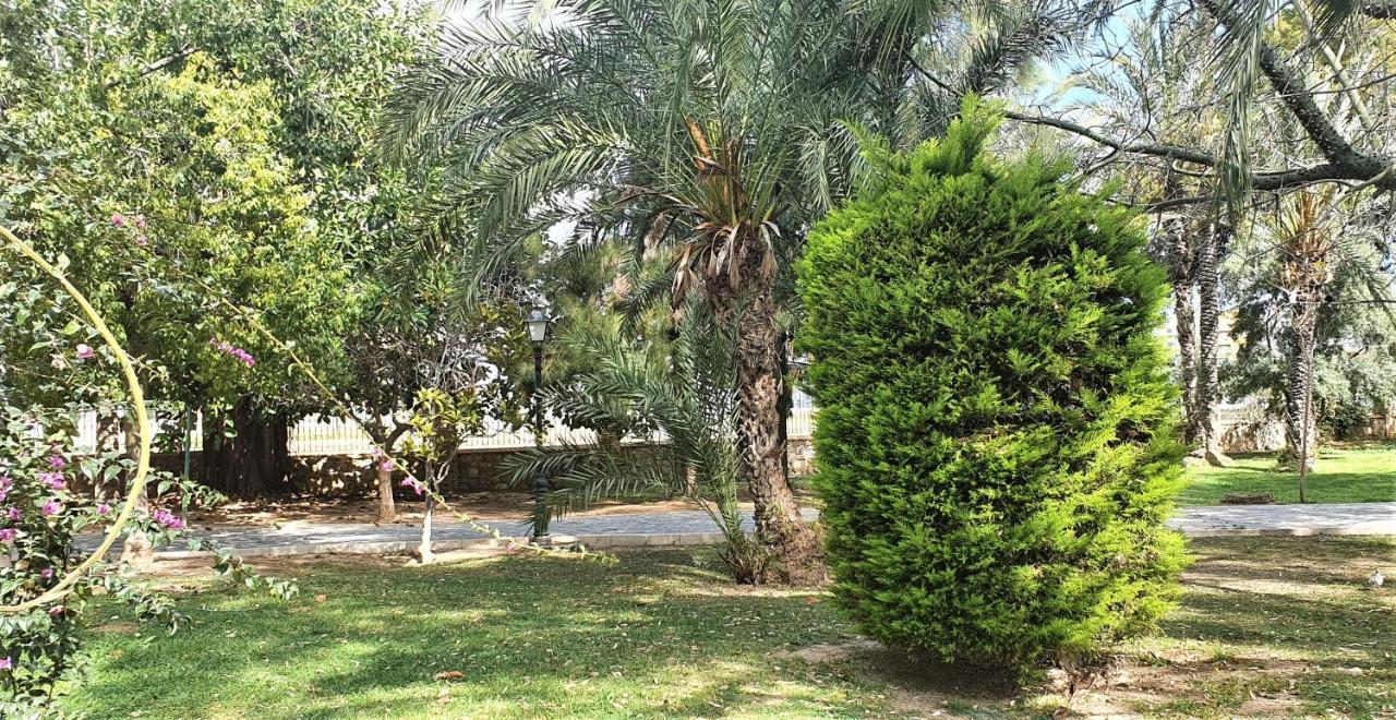 Ecaterina Apartment تورّيفيِخا المظهر الخارجي الصورة