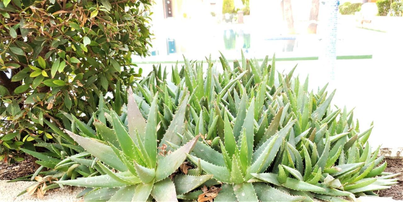 Ecaterina Apartment تورّيفيِخا المظهر الخارجي الصورة