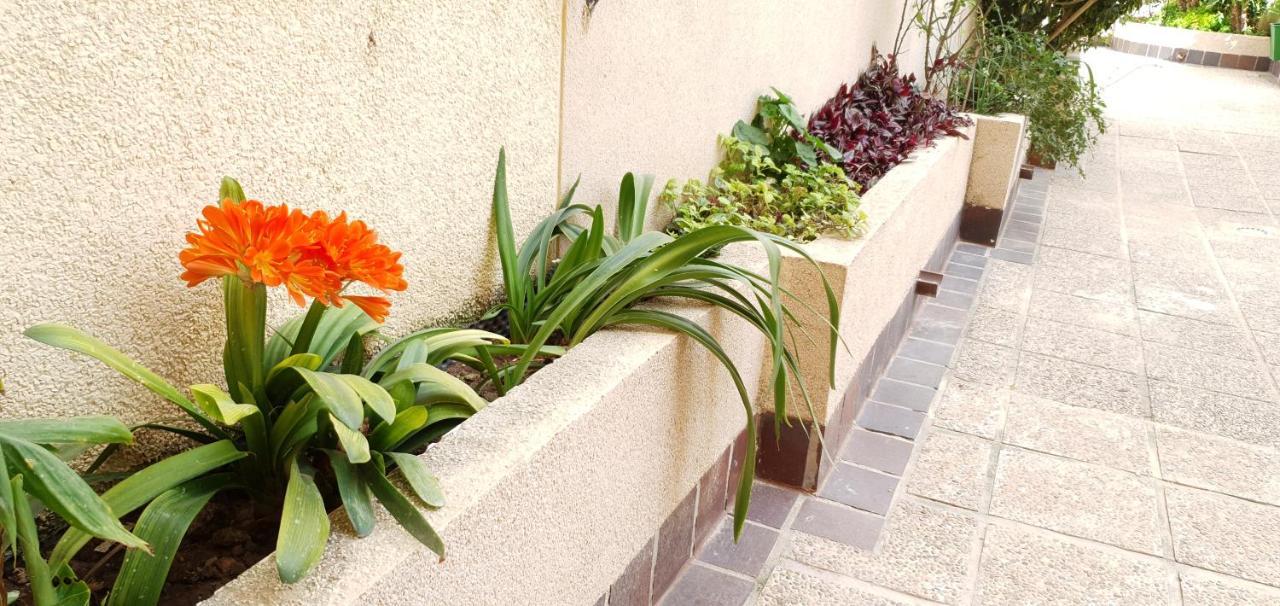 Ecaterina Apartment تورّيفيِخا المظهر الخارجي الصورة